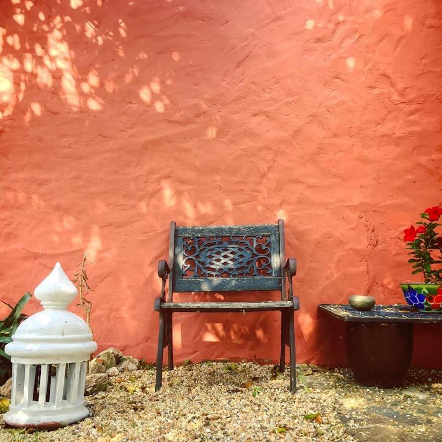 Gasthaus Monte Da Xica - Somente Adultos Zambujeira do Mar Exterior foto